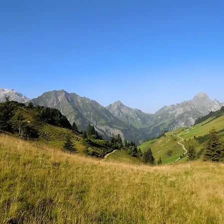 Haus Rothorn * Schröcken